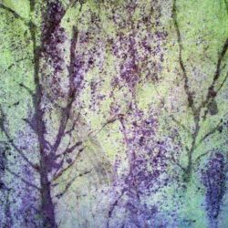Karen Harvey