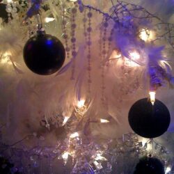 Jodee Markovich