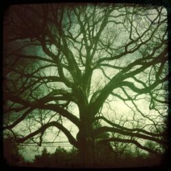 James Anthony Campbell