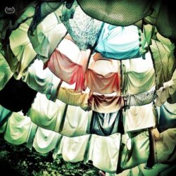 Danile Fonseca - 1st Place - still Life