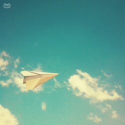 Lisa Jay - 1st Place - Others