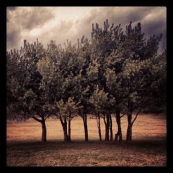 Janine Maridou