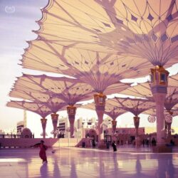 Shamsa Alsuwaidi