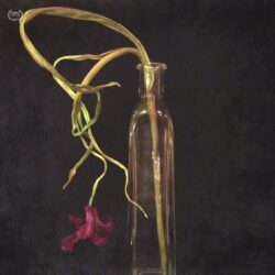 Lisa Waddell