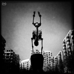 Sascha Fromm