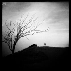 Petyr Campos