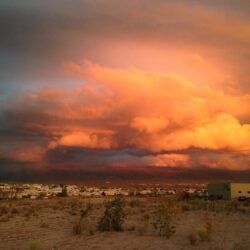 CaraPaul02-sunset.jpg
