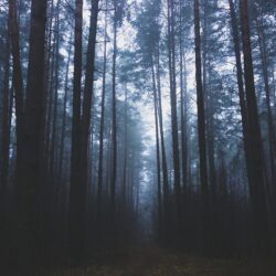 MariyaMuravleva01-nature