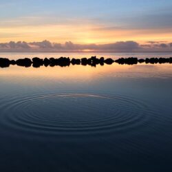 © Corentin Bruneteau