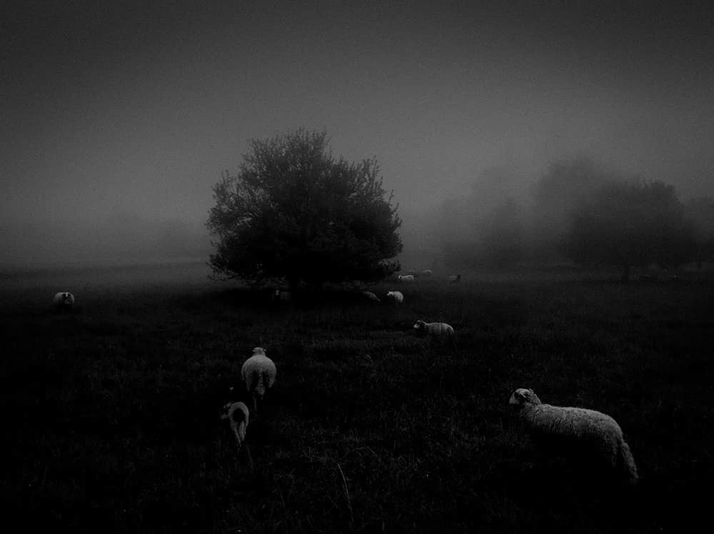 Sukru Mehmet Omur1st Place Nature Sukru Mehmet Omur1st Place Nature