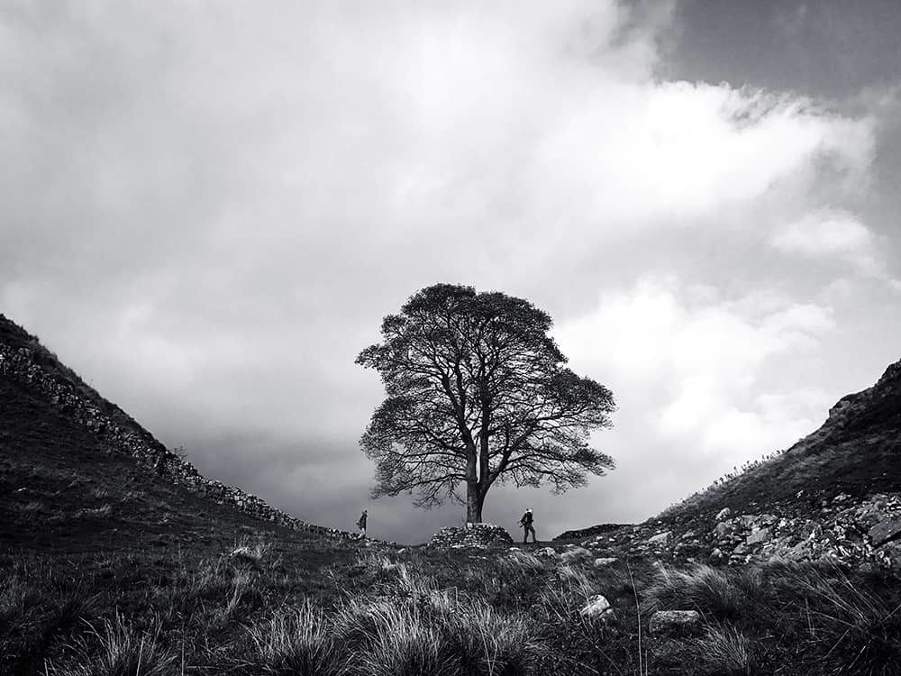 Asuman Robson2nd Place Landscape