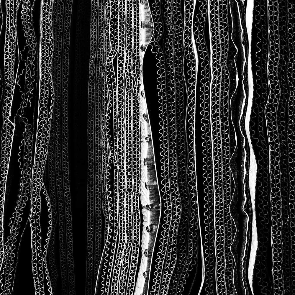 Glenn Homann1st Place Abstract