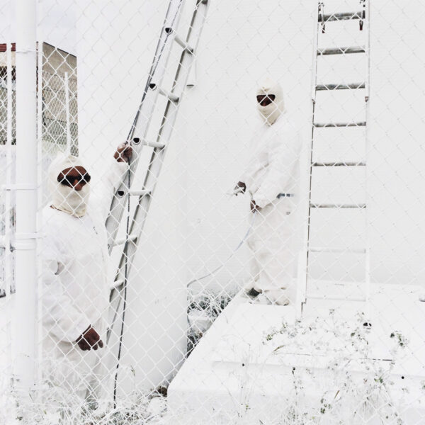 © IPPAWARDS - Brooke Wilen - USA