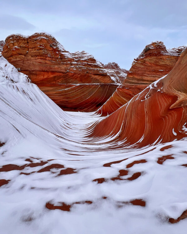© IPPAWARDS - Qu Lu - USA