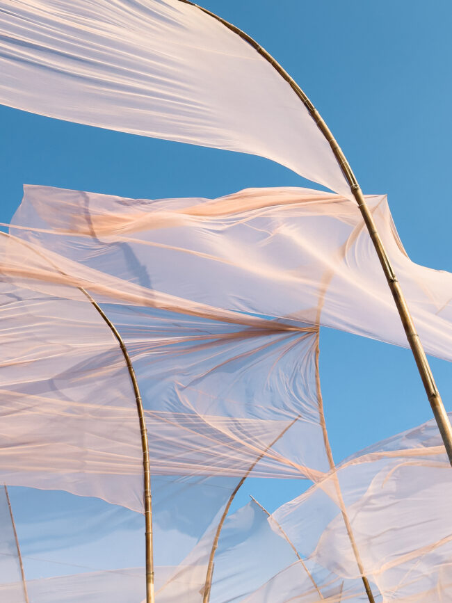 © IPPAWARDS - Wei Wei - China