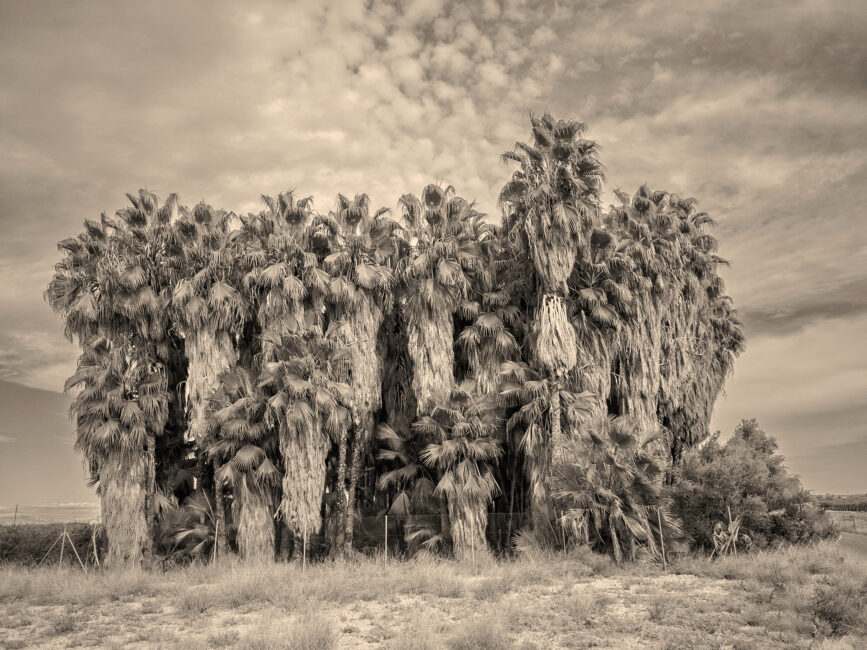 © IPPAWARDS - Iñigo Calles - Spain