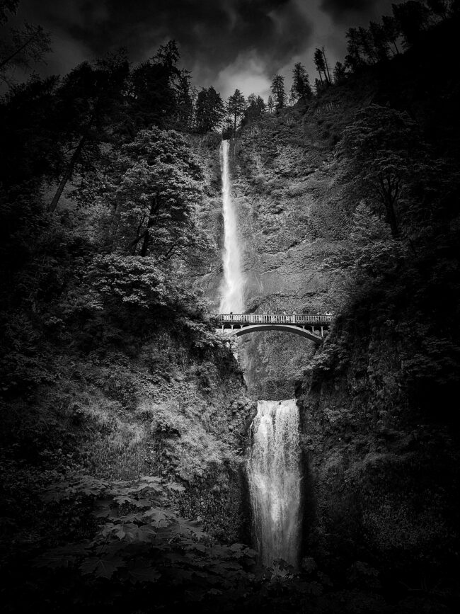 © IPPAWARDS - Jennifer Newitt - United States