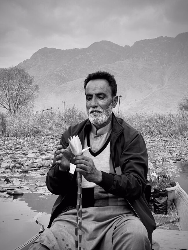 © IPPAWARDS - Leah Kim - South Korea