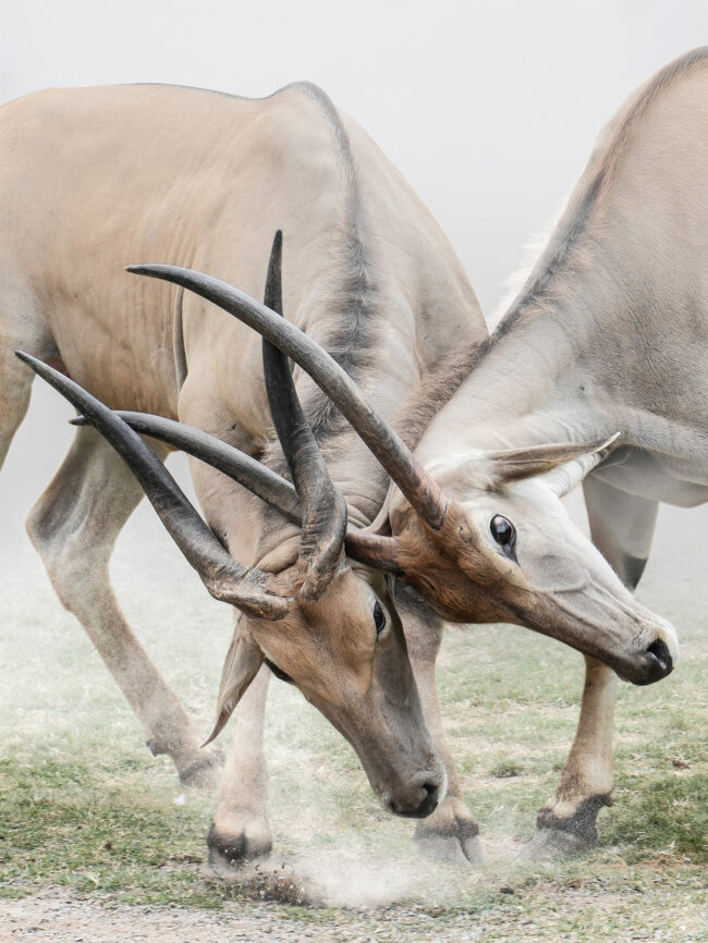 © IPPAWARDS - Kunhua Chen - China © IPPAWARDS - Kunhua Chen - China