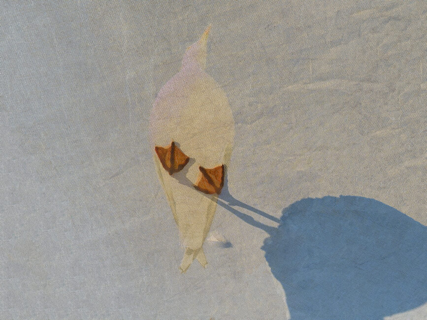 © IPPAWARDS - Iuliia Antonova - Ukraine © IPPAWARDS - Iuliia Antonova - Ukraine